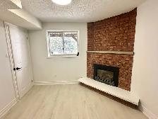 Walk-Out Basement for Rent - Photo 8