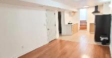 Renovated Bright 1 Bedroom Suite | Private Entrance | Vaughan - Photo 29