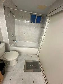 Bright Clean 1Bedroom Basement Utilities Included-Separate Entry - Photo 10