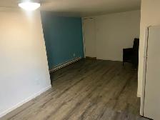 St-François-du-Lac:Grand 2 1/2 rénové avec stationnements/remise - Photo 2