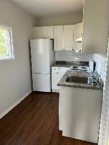 1 bedroom 1 bathroom apartment - Photo 2