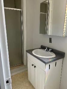 1 bedroom 1 bathroom apartment - Photo 6