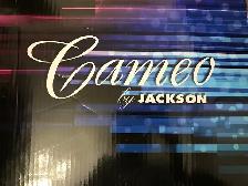 Cameo by Jackson  Figure Skates, Women,Size 8 - Photo 2