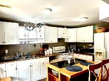 Bright 2-Bedroom Walkout Basement for Rent – South Guelph