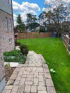 Bright 2-Bedroom Walkout Basement for Rent – South Guelph - Photo 5