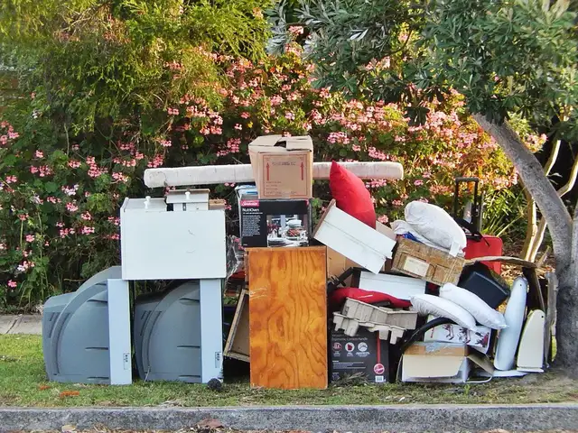 Junk removal  ☎️289-315-2642☎️