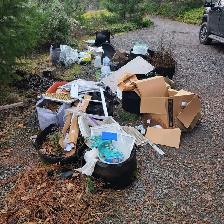 Rubbish removal  ☎️289-315-2642☎️