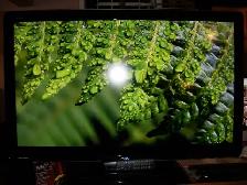 46' SHARP AQUOS HDTV, $355.