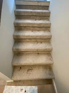 Summer cleaning - Photo 8