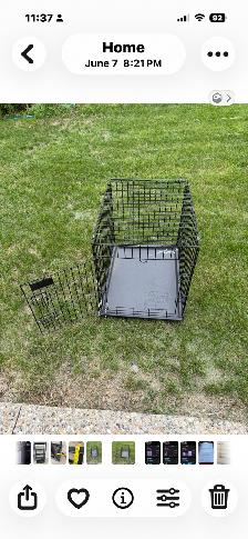 Dog crate for sale