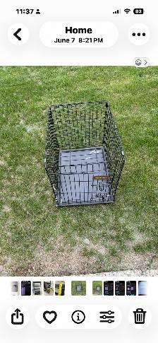 Dog crate for sale - Photo 2