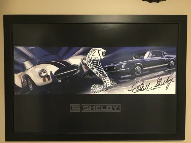 Shelby Framed Poster and Plaques