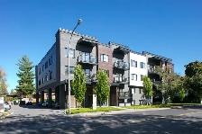 renovated 1-bed apartment, Greenfield Park, Sept 1st - ID 3378 - Photo 11