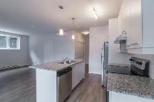 renovated 1-bed apartment, Greenfield Park, Sept 1st - ID 4009