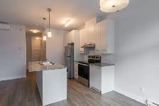 renovated 1-bed apartment, Greenfield Park, Sept 1st - ID 4009 - Photo 3