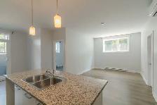 renovated 1-bed apartment, Greenfield Park, Sept 1st - ID 4009 - Photo 5
