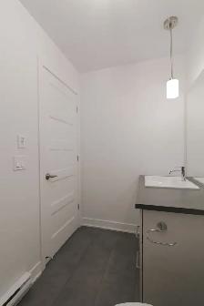 renovated 1-bed apartment, Greenfield Park, August 1 - ID 4629 - Photo 6