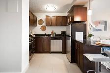 190 Smith Apartment Suites - One-Bedroom Suite (Type B) Apartmen - Photo 6
