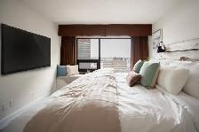 190 Smith Apartment Suites - One-Bedroom Suite (Type B) Apartmen - Photo 9