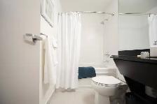 190 Smith Apartment Suites - One-Bedroom Suite (Type B) Apartmen - Photo 12