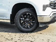 2024 Chevrolet Silverado 1500 LT True North 5.3L Z71 - Photo 11