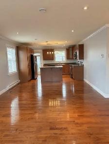 NEW LISTING!! 2 APARTMENT HOME IN KENMOUNT TERRACE! - Photo 3