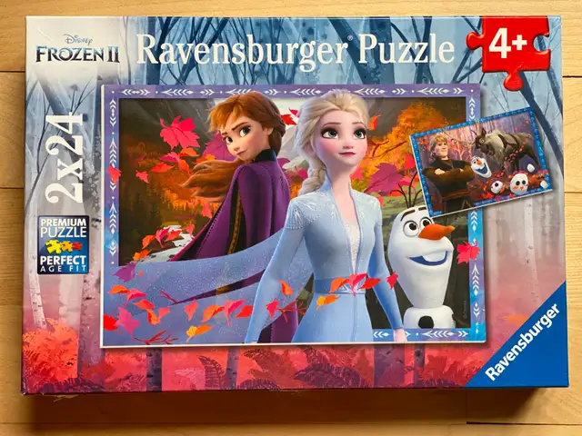 Casse-têtes / Puzzles (10 CT) – 24 à 36 pcs (K5)
