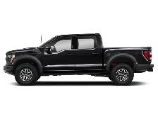 2022 Ford F-150 RAPTOR - Photo 3