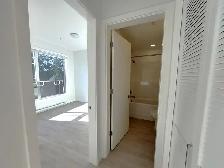 2 Bedroom Apartment for Rent - 494 Goldstream Avenue - Photo 8