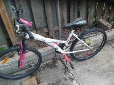 Bike for girls