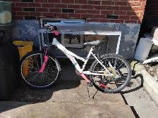 Bike for girls - Photo 4