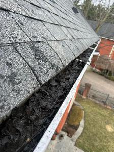 Newmarket gutter boys - Photo 5