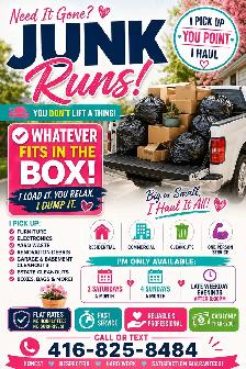 Junk Removal Service