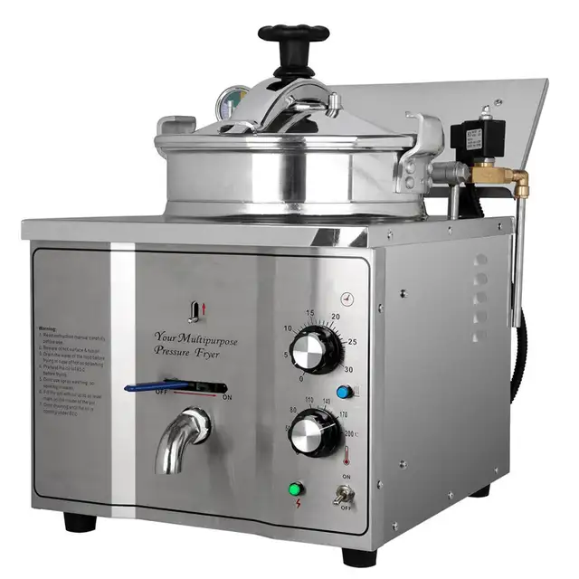 110V 16L Electric High Pressure Fryer Chicken Stove Oven 022262