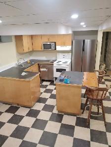 3 Bdr Bright Spacious Basement Apt available Sept 1st near DAL - Photo 2