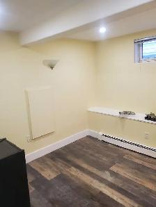 3 Bdr Bright Spacious Basement Apt available Sept 1st near DAL - Photo 5