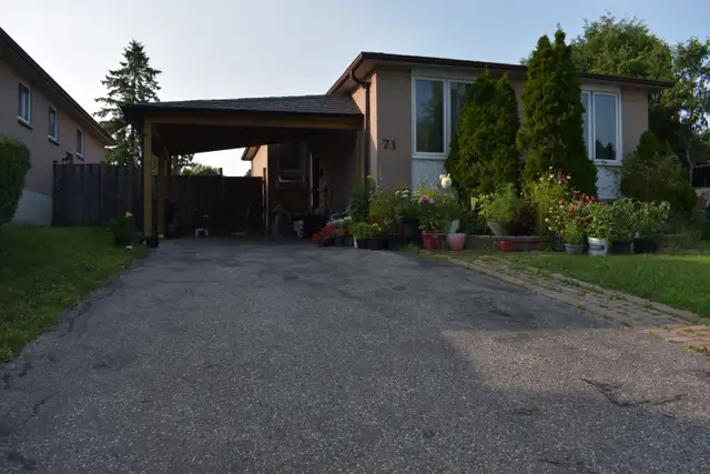 Specious and Furnished Room for Rent in Scarborough