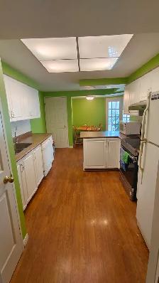 Spacious, quite 2 bdrm 2 bath apartment for rent (walking to UW) - Photo 6