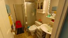 Spacious, quite 2 bdrm 2 bath apartment for rent (walking to UW) - Photo 8