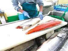 Fish Cutter-BramptonEarly Morning Shift: 4:00 AM