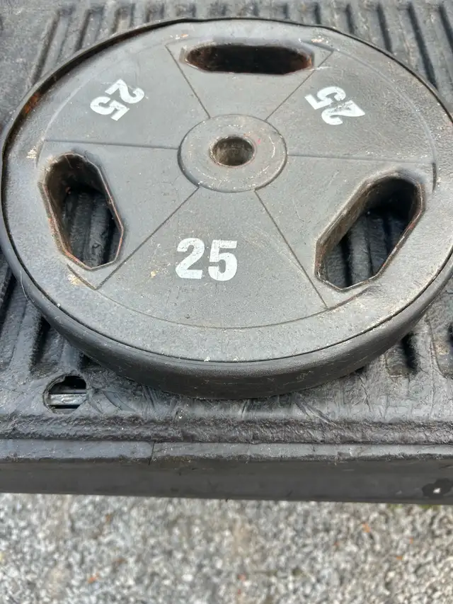 25 pound steel weights