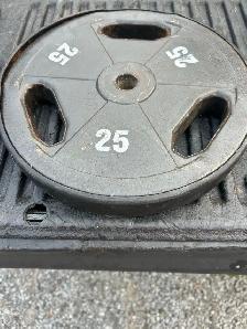 25 pound steel weights
