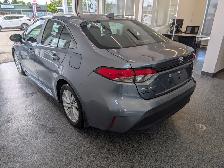 2024 Toyota Corolla LE - Photo 4