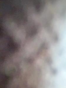 Restaurant Cleaning