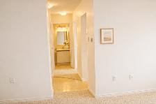 Clean, Comfortable 1 Bedroom Apartment – 1600 Adelaide London - Photo 6