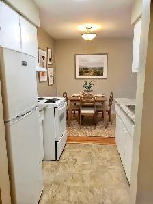 Large one bedroom one bathroom - Photo 5