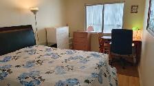 Spacious, quite 2 bdrm 2 bath apartment for rent (walking to UW) - Photo 4