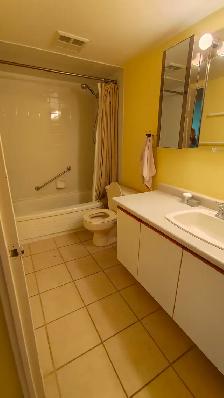 Spacious, quite 2 bdrm 2 bath apartment for rent (walking to UW) - Photo 7