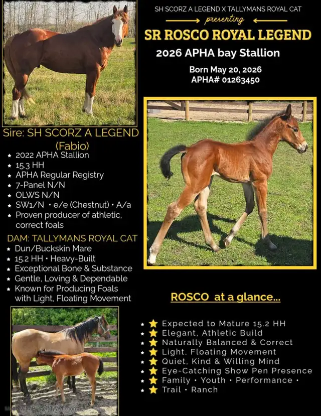 SR ROSCOS ROYAL LEGEND