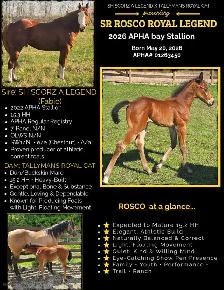 SR ROSCOS ROYAL LEGEND